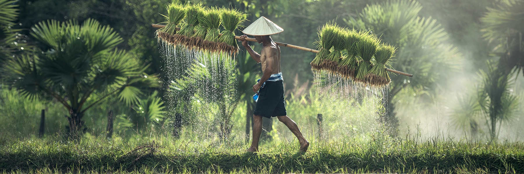 ▷▷▷ Myanmar Rundreisen günstig buchen!